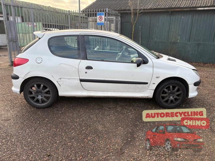 Peugeot 206 1.6 XS,XT Sloopvoertuig (2000, Wit)