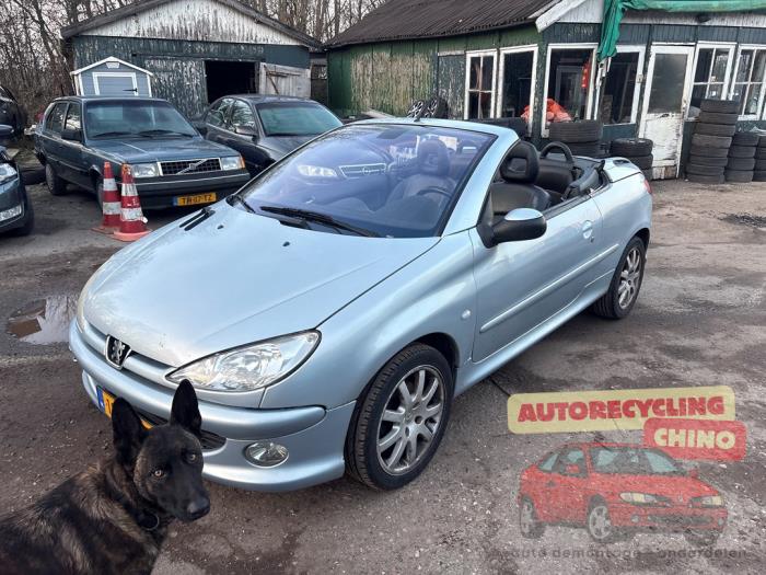 Peugeot 206 CC 2.0 16V Sloopvoertuig (2003, Grijs)