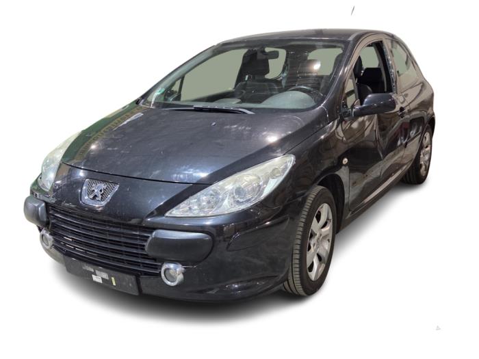 Peugeot 307 2.0 16V Sloopvoertuig (2006, Metallic, Zwart)
