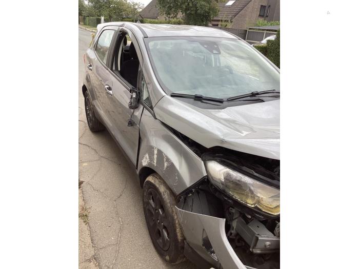 Ford EcoSport 1.0 EcoBoost 12V 100 Sloopvoertuig (2022, Grijs)