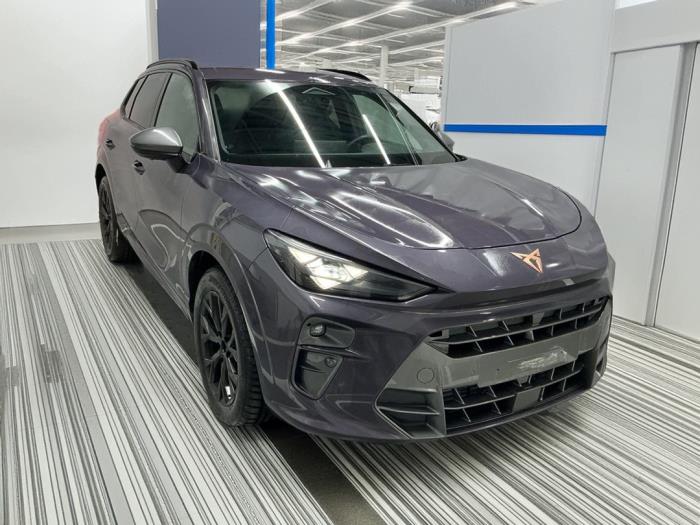 Cupra Terramar 1.5 eTSI Sloopvoertuig (2024, Metallic, Saffierblauw)