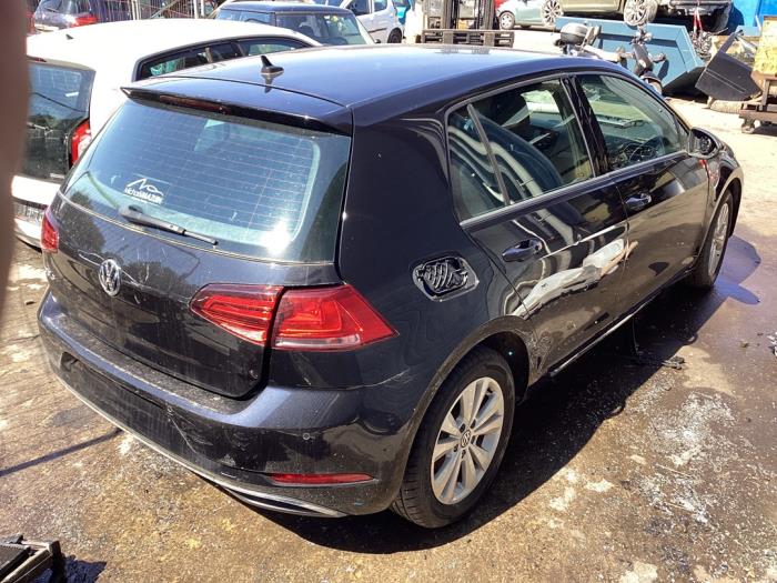 Volkswagen Golf VII 1.6 TDI BMT 16V Sloopvoertuig (2019, Zwart)