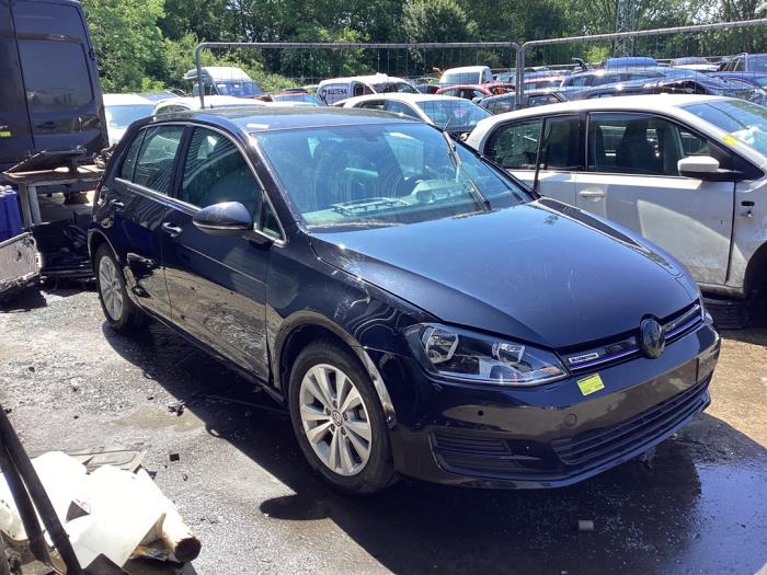Volkswagen Golf VII 1.6 TDI BMT 16V Sloopvoertuig (2019, Zwart)