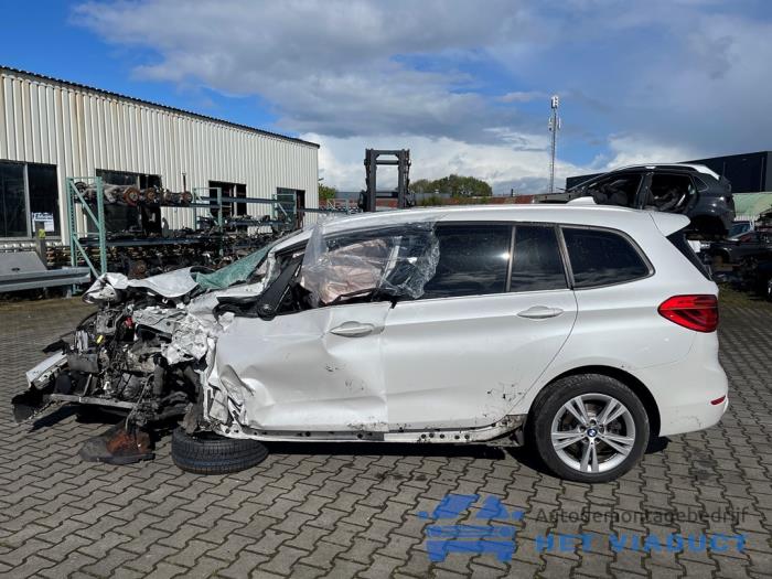 BMW 2 serie Gran Tourer 220dA xDrive 2.0 TwinPower Turbo 16V Sloopvoertuig (2018, Wit)