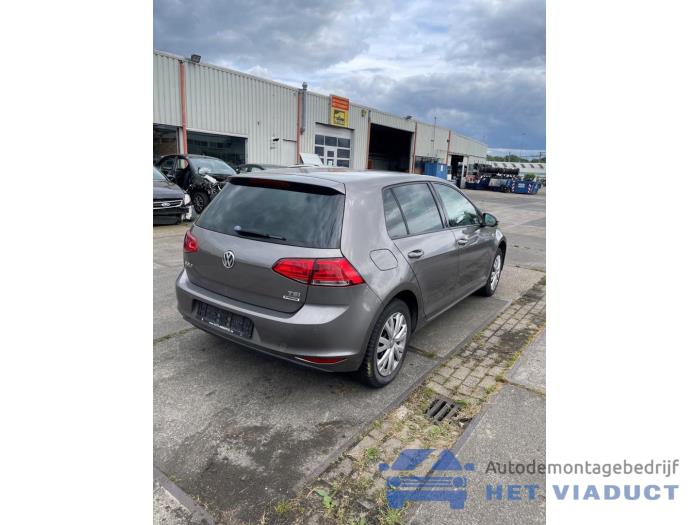 Volkswagen Golf VII 1.2 TSI 16V Sloopvoertuig (2015, Grijs)