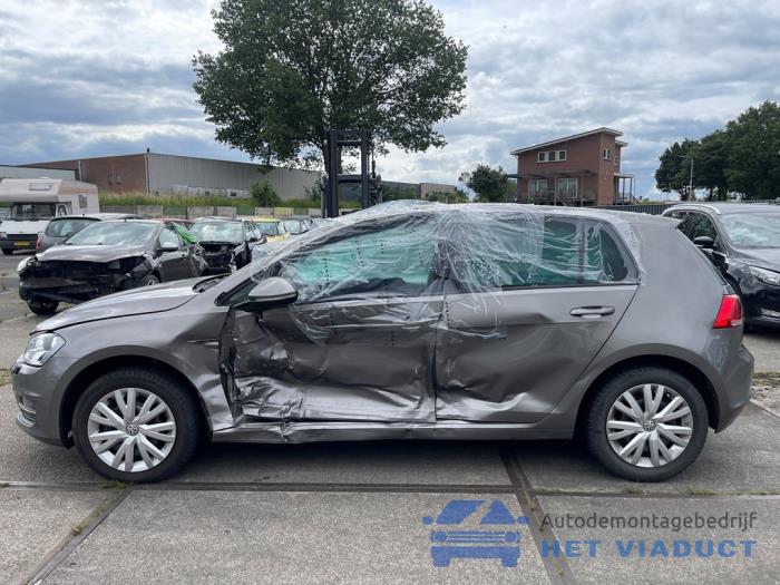 Volkswagen Golf VII 1.2 TSI 16V Sloopvoertuig (2015, Grijs)