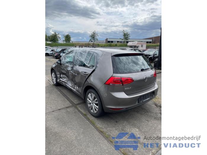 Volkswagen Golf VII 1.2 TSI 16V Sloopvoertuig (2015, Grijs)