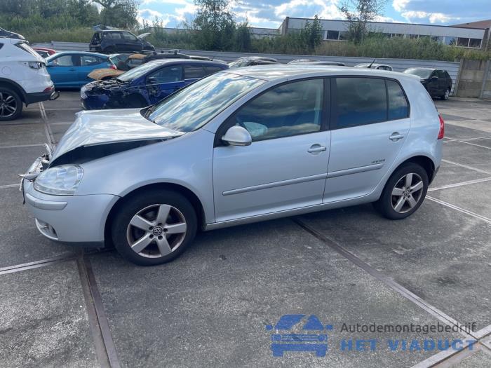 Volkswagen Golf VI 1.6 Sloopvoertuig (2008, Grijs)