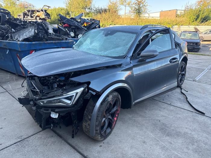 Cupra Formentor 2.0 TSI 16V 4Drive Sloopvoertuig (2022, Grijs)