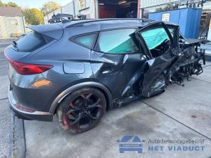 Cupra Formentor 2.0 TSI 16V 4Drive Sloopvoertuig (2022, Grijs)