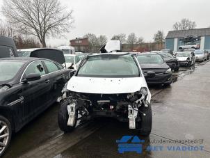 Renault Clio III 1.2 16V 75  (Sloop)