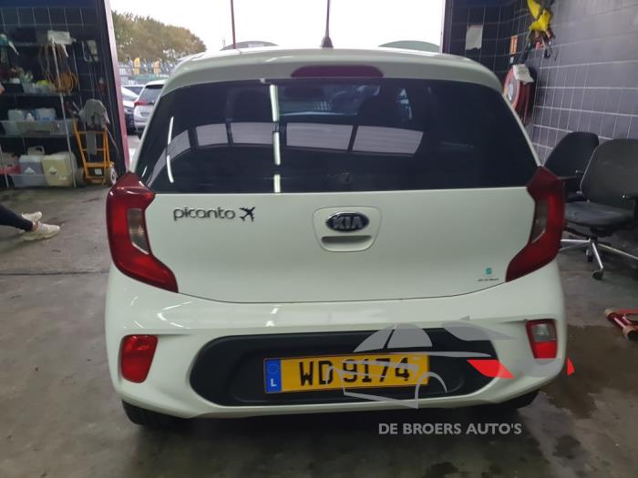 Kia Picanto 1.0 12V Sloopvoertuig (2019, Wit)
