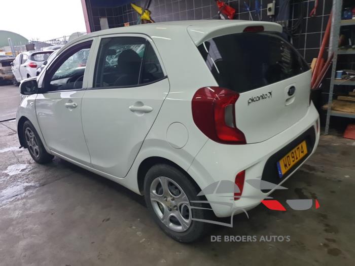 Kia Picanto 1.0 12V Sloopvoertuig (2019, Wit)