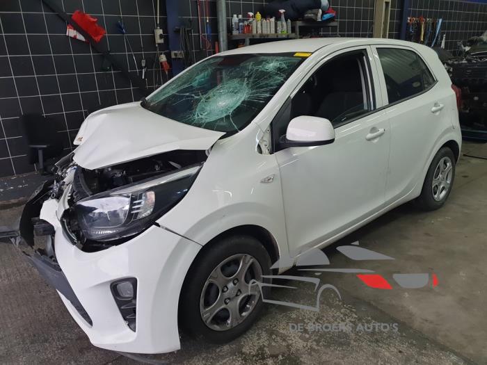 Kia Picanto 1.0 12V Sloopvoertuig (2019, Wit)
