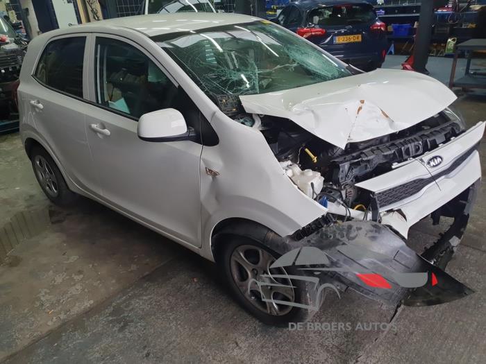 Kia Picanto 1.0 12V Sloopvoertuig (2019, Wit)