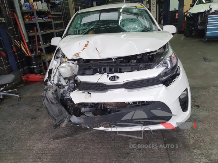 Kia Picanto 1.0 12V Sloopvoertuig (2019, Wit)