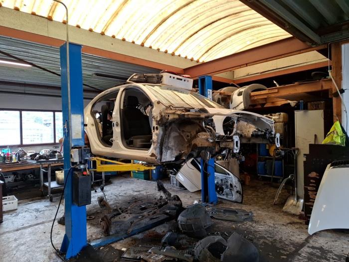 Skoda Octavia 1.6 TDI Greenline Sloopvoertuig (2012, Wit)