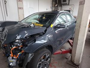 Kia Xceed 1.6 GDI PHEV  (Sloop)