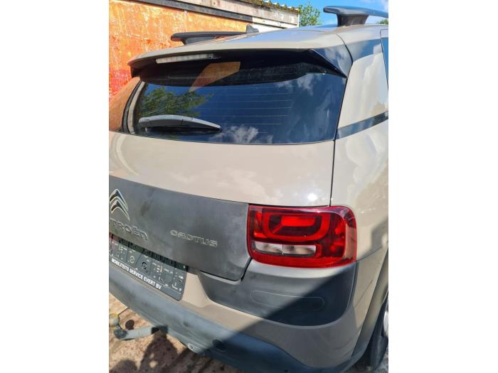 Citroen C4 Cactus 1.2 PureTech 82 12V Sloopvoertuig (2017, Bruin)