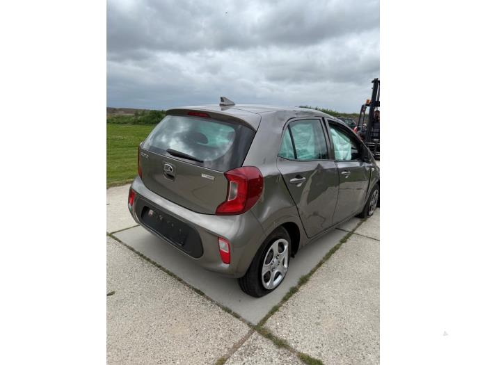 Kia Picanto 1.0 12V Sloopvoertuig (2020, Grijs)