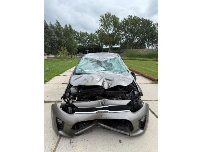 Kia Picanto 1.0 12V Sloopvoertuig (2020, Grijs)