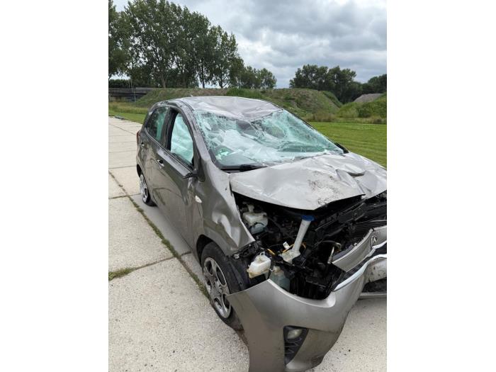 Kia Picanto 1.0 12V Sloopvoertuig (2020, Grijs)