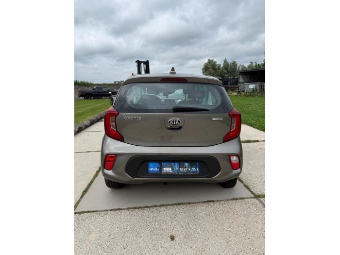 Kia Picanto 1.0 12V Sloopvoertuig (2020, Grijs)