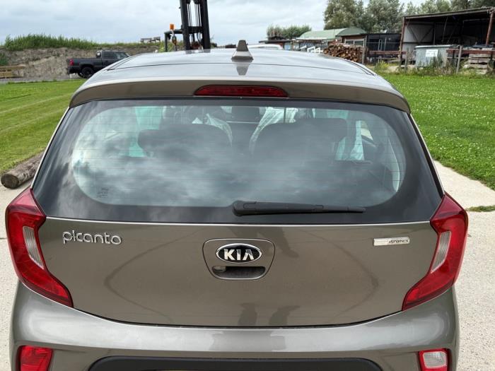 Kia Picanto 1.0 12V Sloopvoertuig (2020, Grijs)