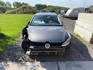 Volkswagen Golf VII 2.0 TDI 16V  (Sloop)